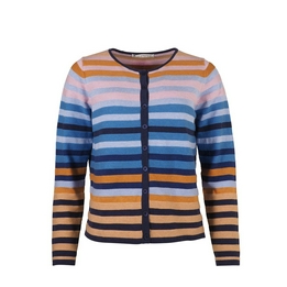 Overview image: Mansted Vest Frail Blauw